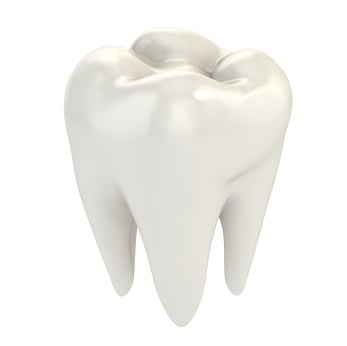 A graphic image of a whole tooth, repaired with a porcelain crown in Lewisville.